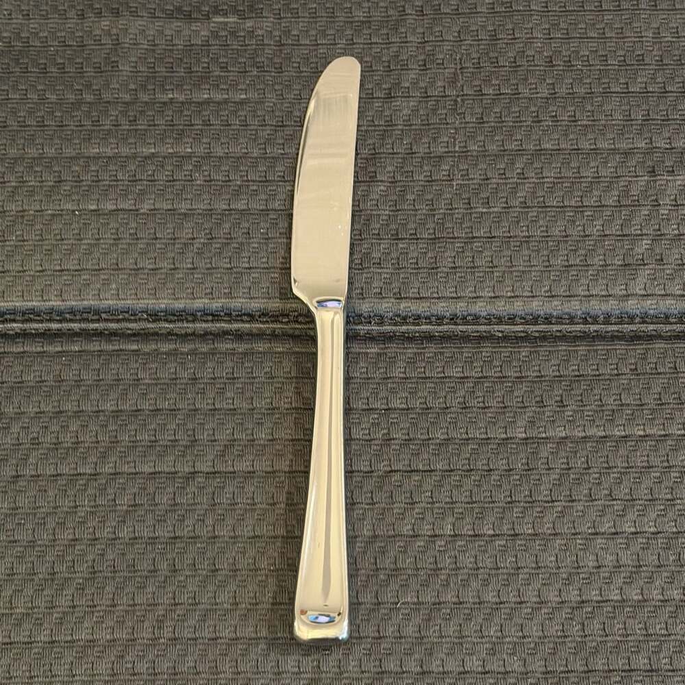 Gorham Scoop Stainless Steel Mirror Solid French Dinner Knife